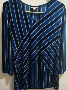 Dana Buchman Blue, Black & White Striped Top